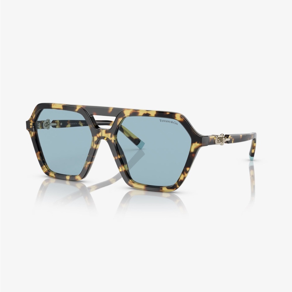 Tiffany and Co HardWare Sunglasses TF4198